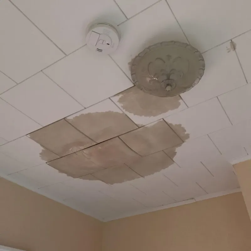 Ceiling Water Damage Repair in Green County, KY