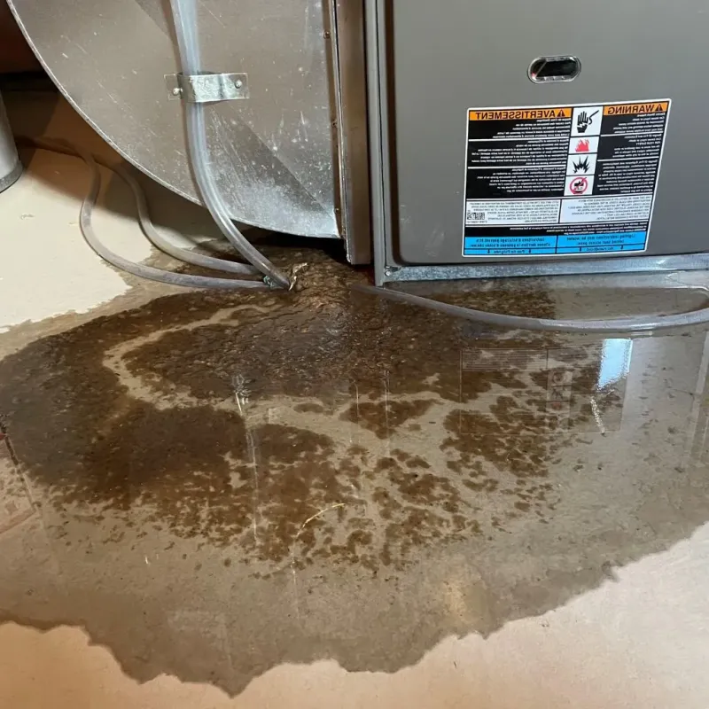 Pipe Burst and Leak Restoration in Green County, KY