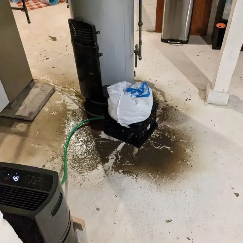 Sewage Backup Cleanup Service in Green County, KY